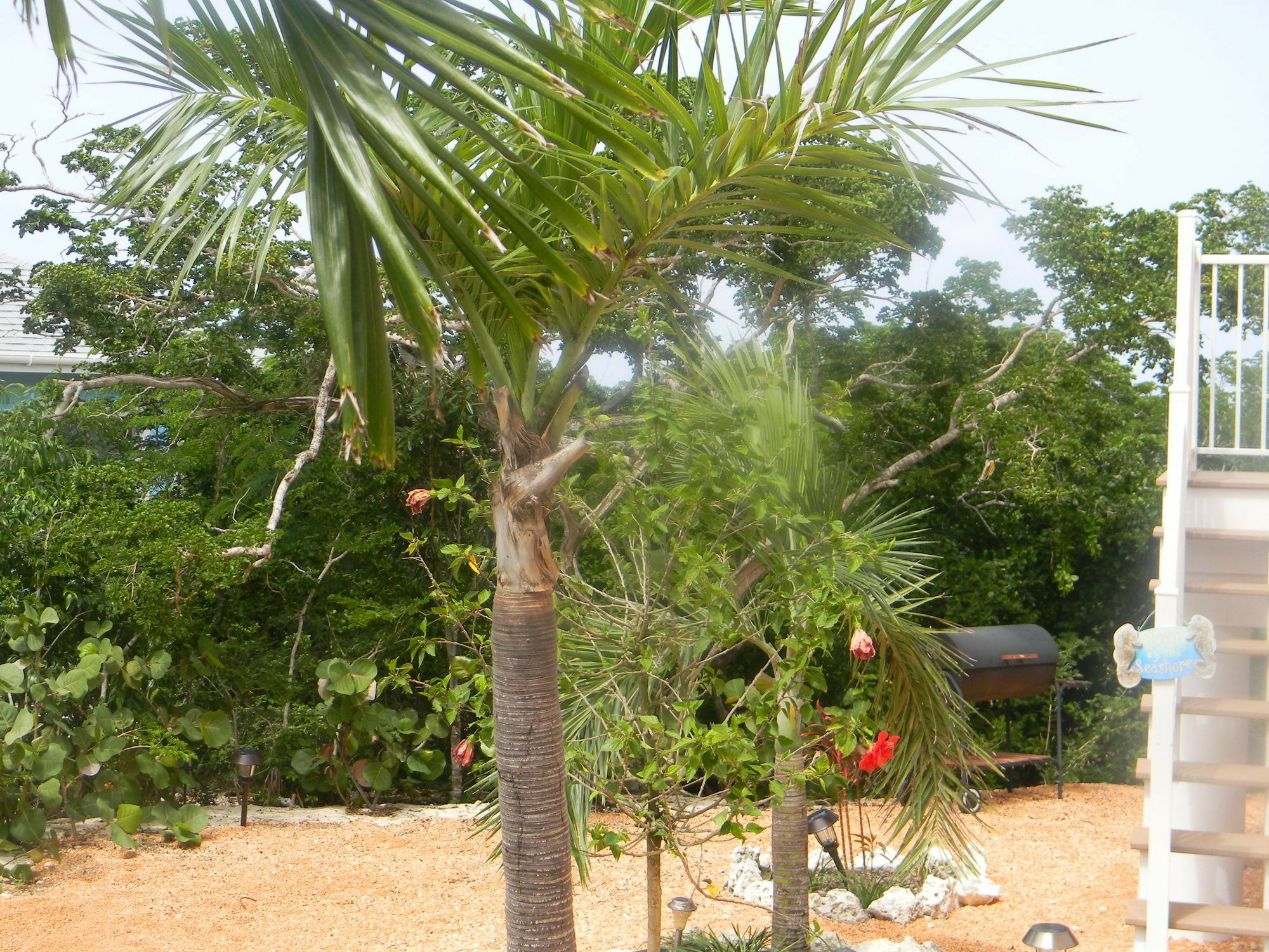 Harbor Breeze Villas Clarence Town Buitenkant foto