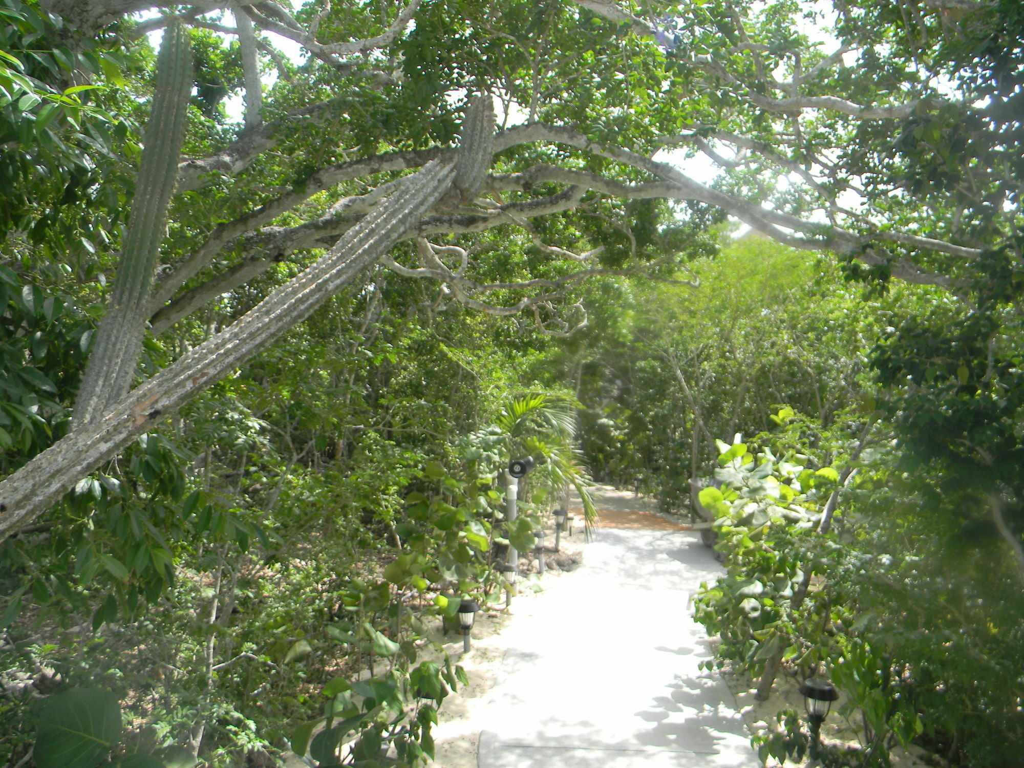 Harbor Breeze Villas Clarence Town Buitenkant foto