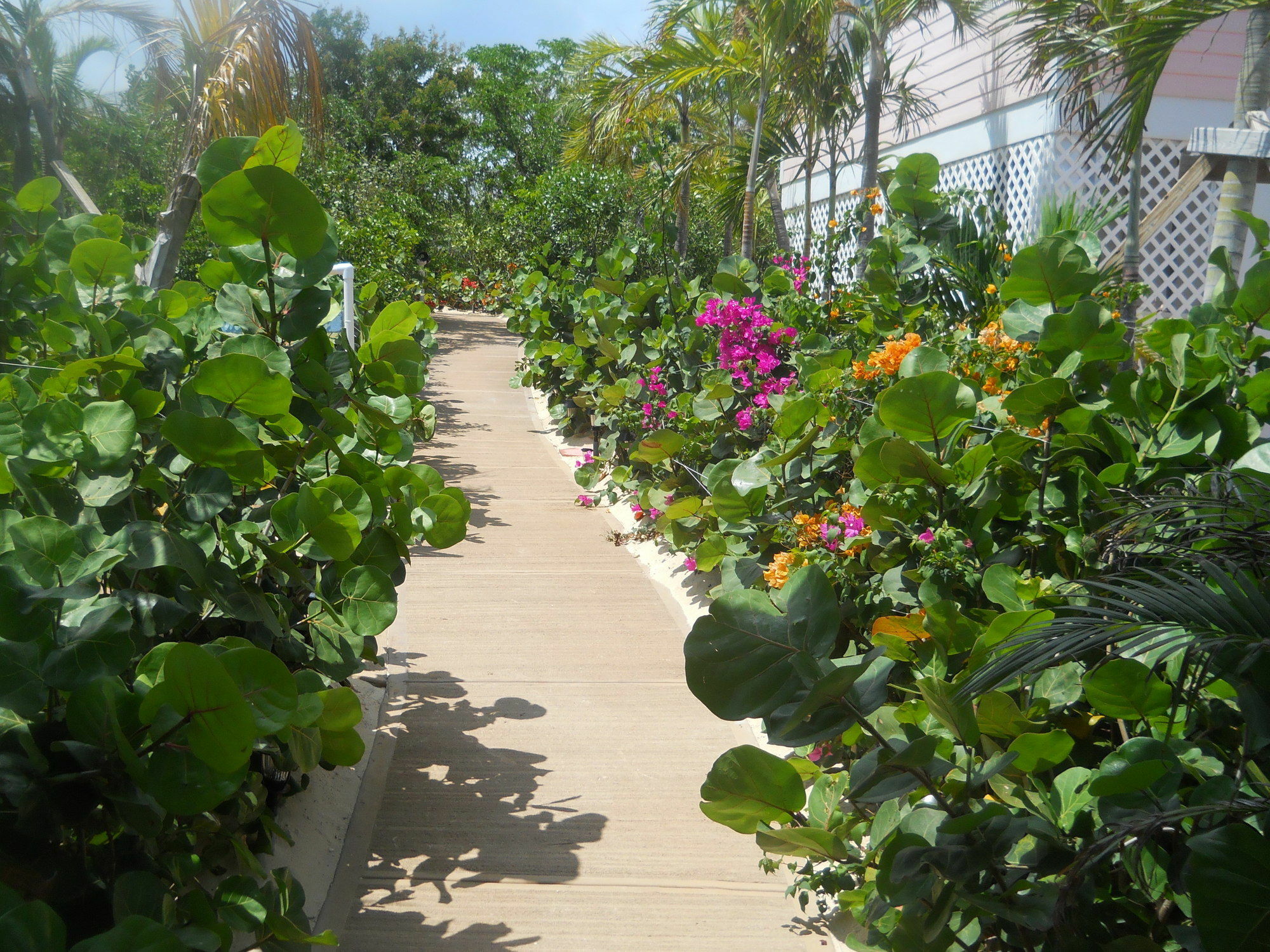 Harbor Breeze Villas Clarence Town Buitenkant foto